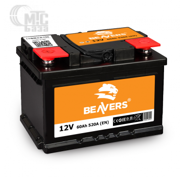 Аккумуляторы Аккумулятор Beavers 6СТ-60 Аз L (L2 56081)   520A 242x175x190мм  Польша