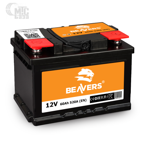 Аккумулятор Beavers 6СТ-60 АзЕ R (L2 56080)   520A 242x175x190мм  Польша