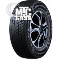 GT Radial WinterPro2 205/55 R16 91T