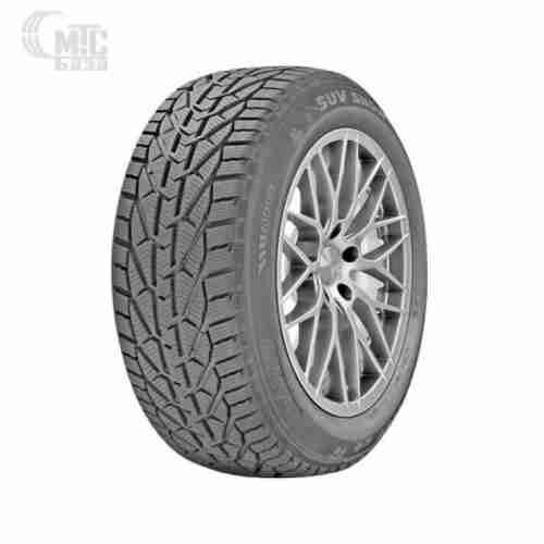 Riken Snow 185/60 R15 88T XL