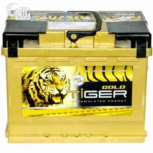Аккумулятор Tiger Gold [6CT-102R] EN950 А 353x175x190мм