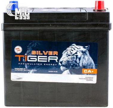 Аккумулятор Tiger Silver Asia [6CT-60R] EN510 А 230x164x224мм