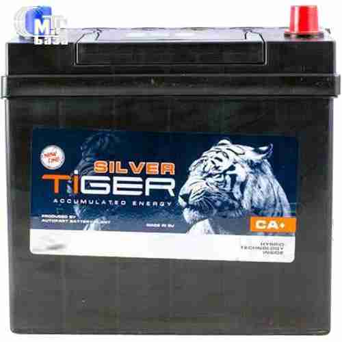 Аккумулятор Tiger Silver Asia [6CT-60R] EN510 А 230x164x224мм